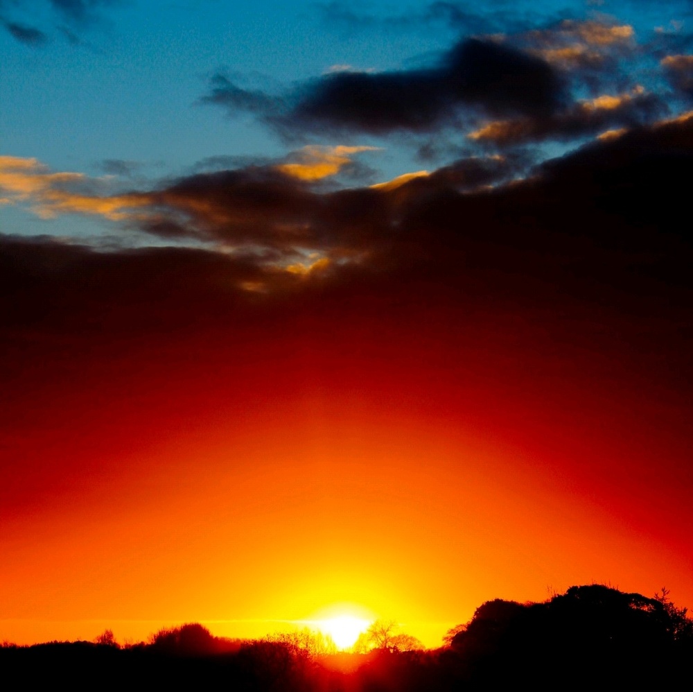 Meet your Posher, Ana